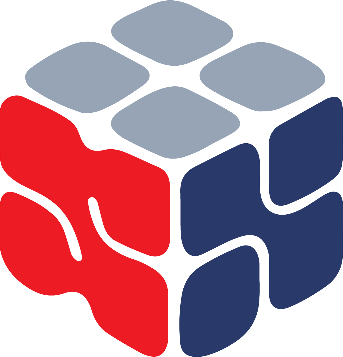 OSN Logo